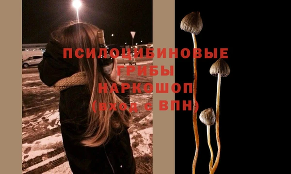 марки lsd Горнозаводск