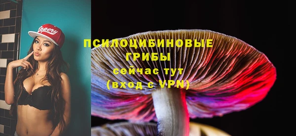 мет Горно-Алтайск