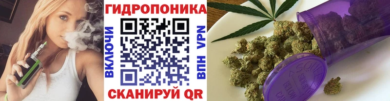 Купить закладки  Карталы  Каннабис SATIVA & INDICA 